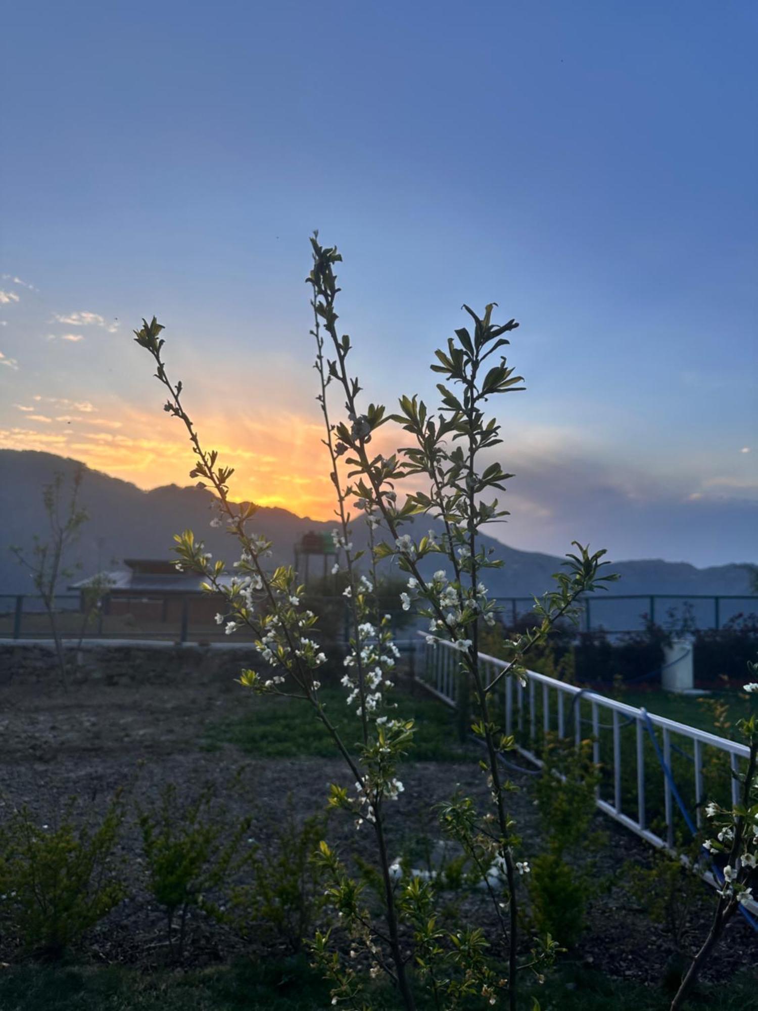 Highfield Villa Канатал Экстерьер фото